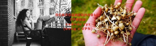 стаф Армянск