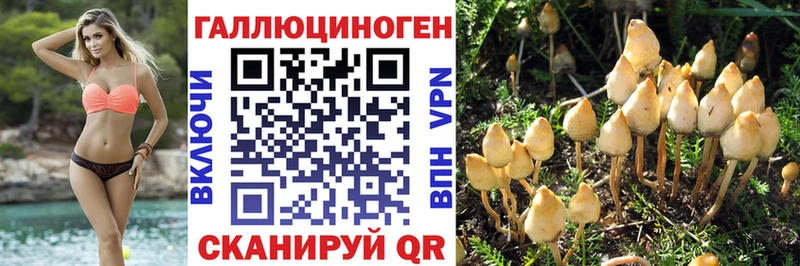 Псилоцибиновые грибы Cubensis  ОМГ ОМГ маркетплейс  Североморск  даркнет сайт 